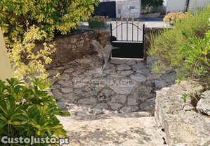 imagem_36