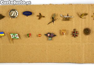 imagem_1