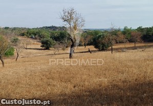 Terreno rustico vista mar alcaria cova estoi