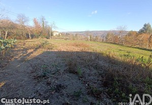 Terreno Agrícola em Paredes de Viadores e Manhuncelos