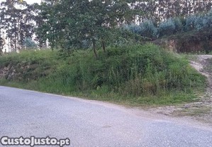 imagem_7