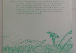 imagem_6