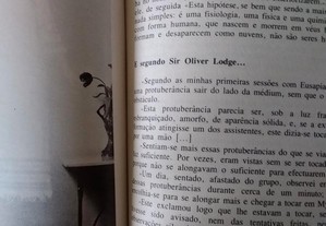 imagem_8