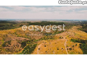 imagem_15