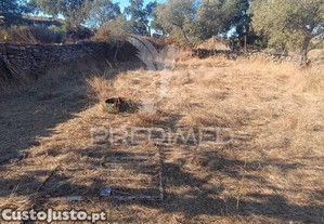 imagem_12