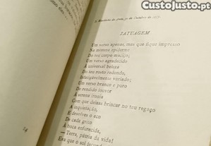 imagem_9