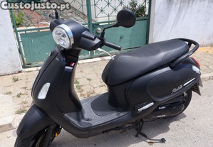 Sym Fiddle - 21
