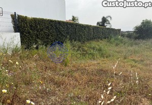 imagem_18