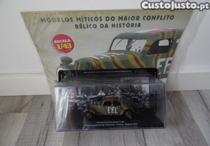 imagem_1