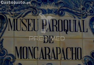 imagem_11