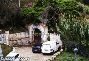 imagem_36