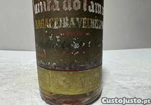 imagem_3