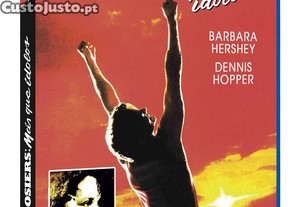 imagem_1