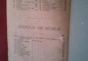 imagem_9