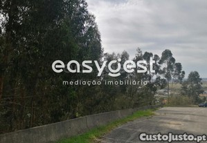 imagem_9
