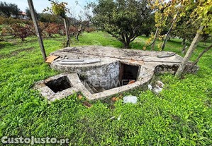 imagem_23