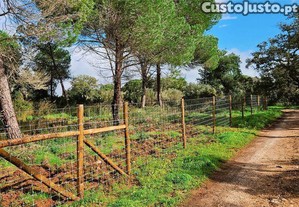 Terreno Agrícola em Bensafrim e Barão de São João