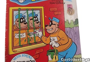 Pateta 17 -