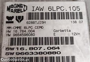 imagem_3