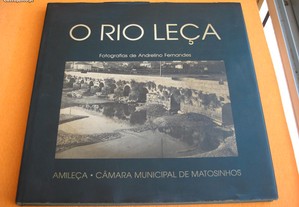 O Rio Leça - 1995