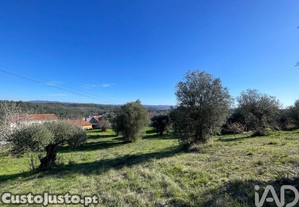 Terreno em Além da Ribeira e Pedreira