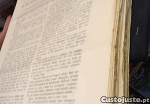 imagem_6