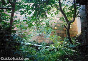 imagem_20