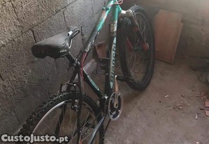 Bicicleta Bianchi