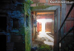 imagem_12