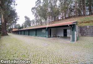 imagem_22