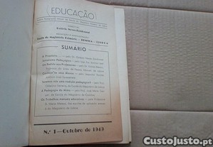 imagem_6