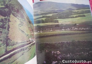 imagem_8