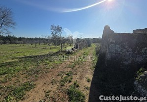imagem_8