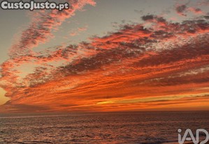 imagem_19