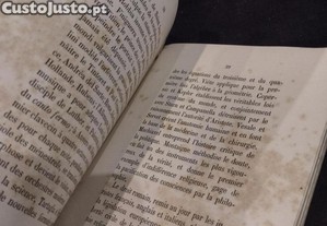 imagem_7