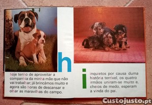 imagem_2