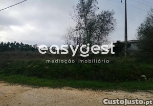imagem_15