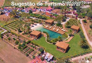 imagem_7