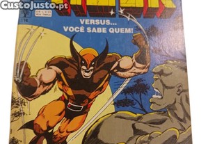 O Incrível Hulk: Versus... Você Sabe Quem! -