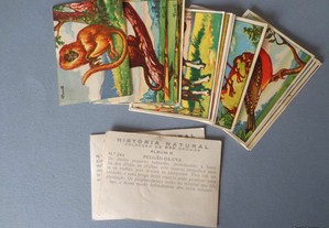Cromos da caderneta História Natural Álbum II