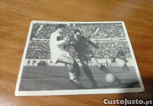 imagem_4