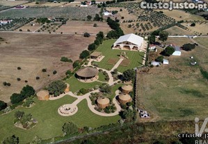 imagem_21