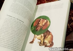 imagem_7
