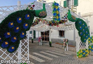 imagem_20
