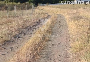 imagem_19