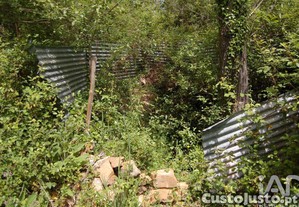 imagem_22