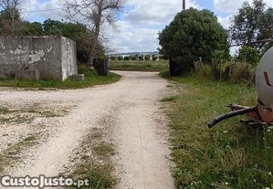 imagem_5
