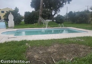 imagem_14