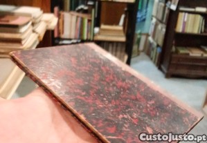 imagem_11