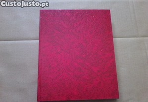 imagem_2